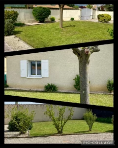 photo_2